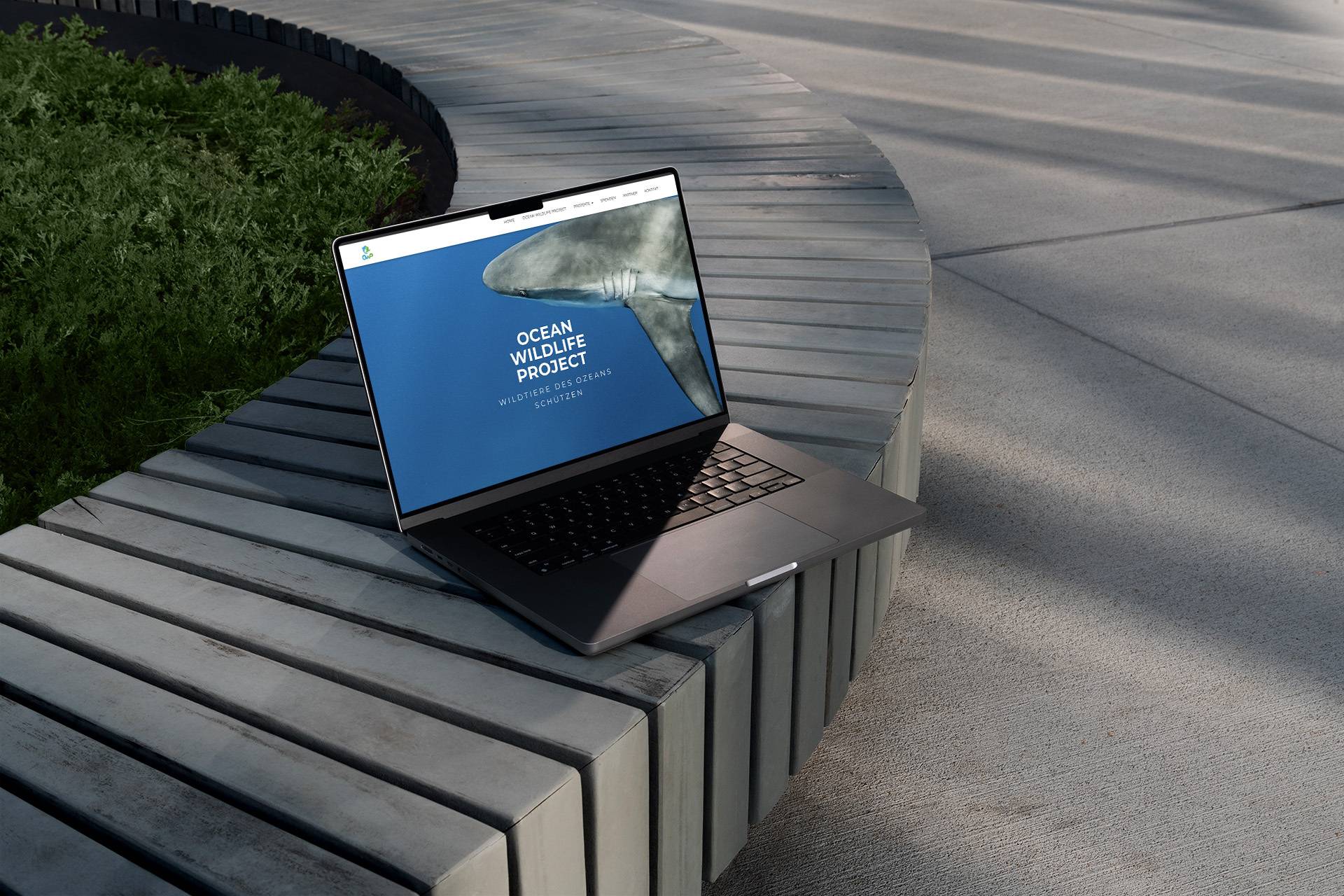 OWP Mockup 7