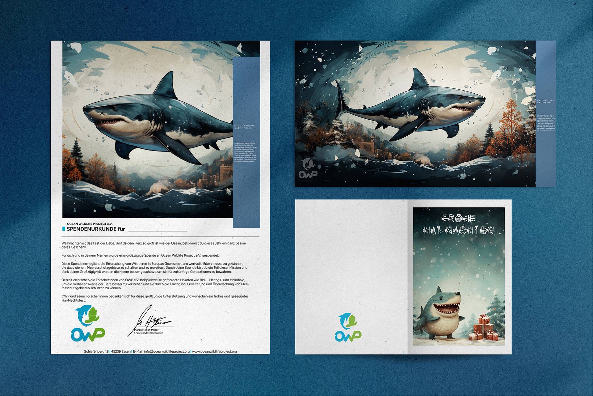 OWP Mockup 3